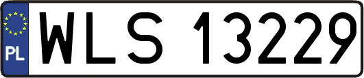 WLS13229