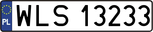WLS13233