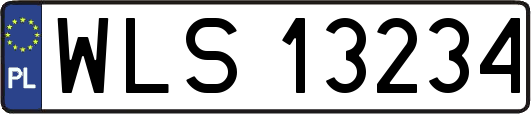 WLS13234