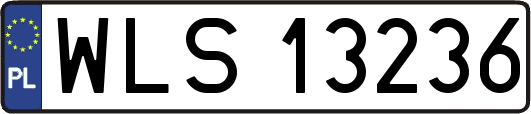 WLS13236