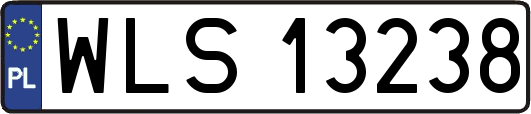 WLS13238