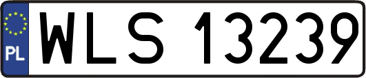 WLS13239