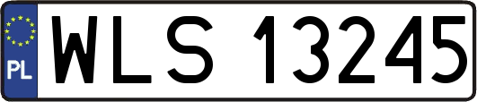 WLS13245