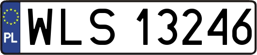 WLS13246