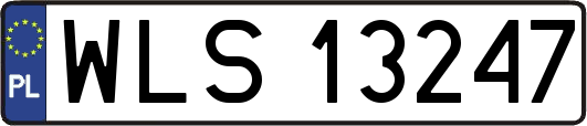 WLS13247