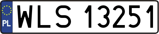WLS13251