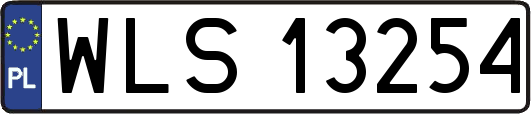WLS13254