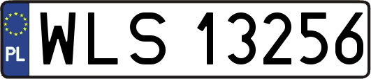 WLS13256