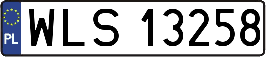 WLS13258