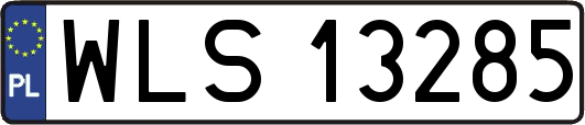 WLS13285