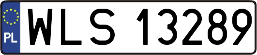 WLS13289