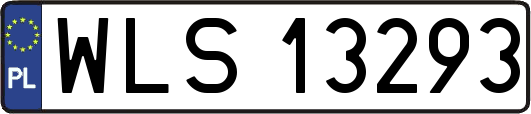 WLS13293