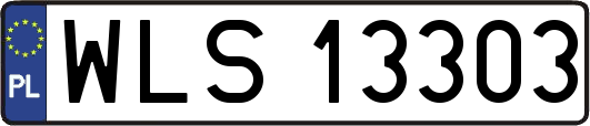 WLS13303