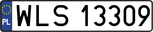 WLS13309
