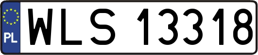 WLS13318