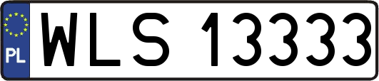 WLS13333