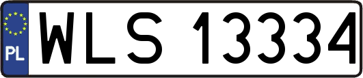 WLS13334