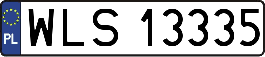 WLS13335
