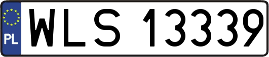 WLS13339