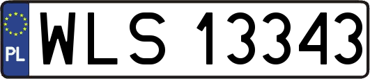 WLS13343