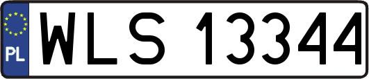 WLS13344