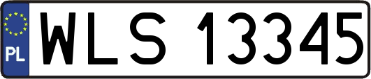 WLS13345
