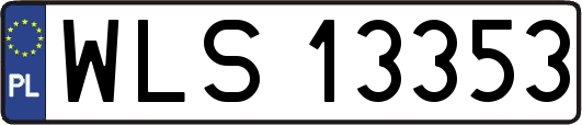 WLS13353