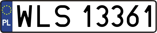 WLS13361