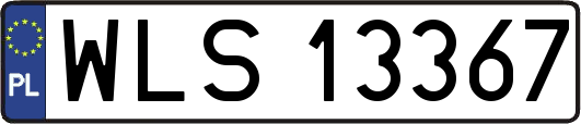 WLS13367