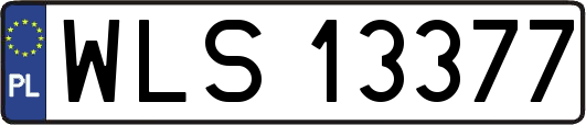 WLS13377