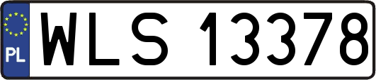WLS13378