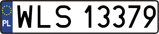 WLS13379
