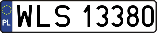 WLS13380