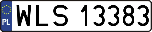 WLS13383