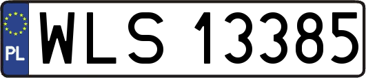 WLS13385
