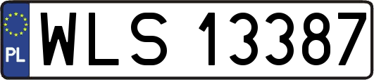 WLS13387