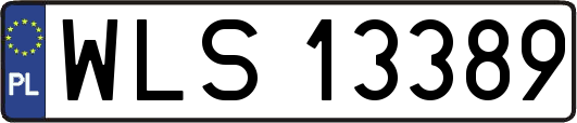 WLS13389