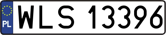 WLS13396