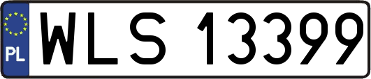 WLS13399
