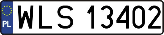 WLS13402