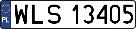 WLS13405