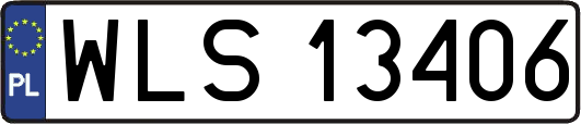 WLS13406