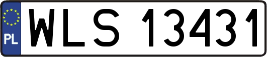 WLS13431