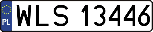 WLS13446