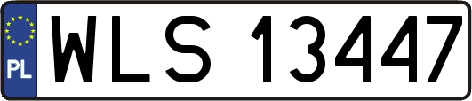 WLS13447