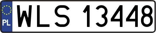 WLS13448