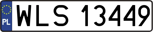 WLS13449