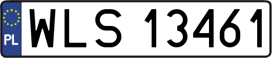 WLS13461