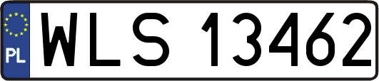 WLS13462