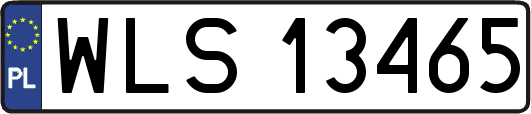 WLS13465